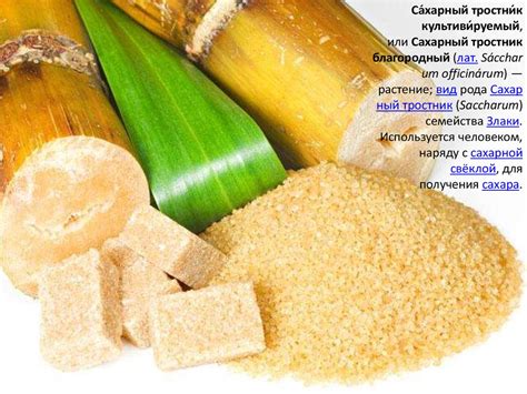 Сахар. Сахарная свёкла и сахарный тростник - online presentation