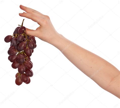 hand holding grapes stock photo  wollertz