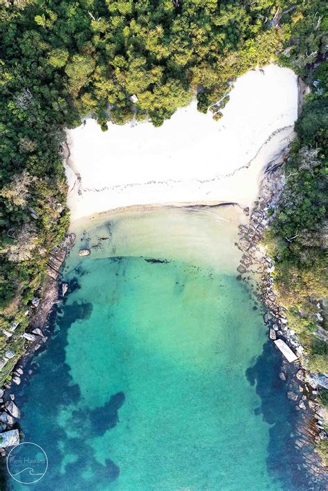 Seal Rocks Reef — PIERS HASKARD