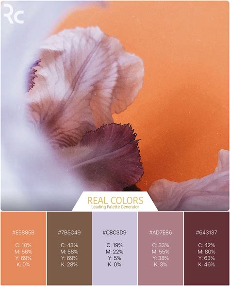 Pin on color scheme pallette combination | Color palette design, Color