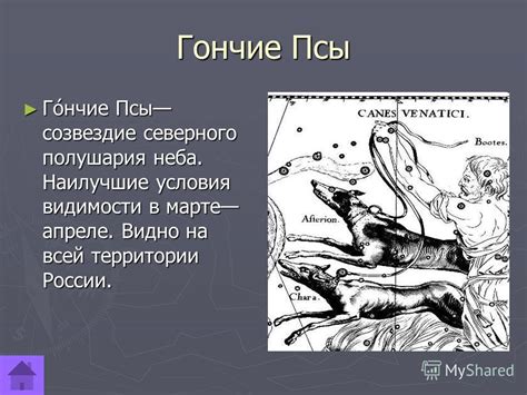 Презентация на тему: "В мире созвездий Автор работы: Моисеева Екатерина ...