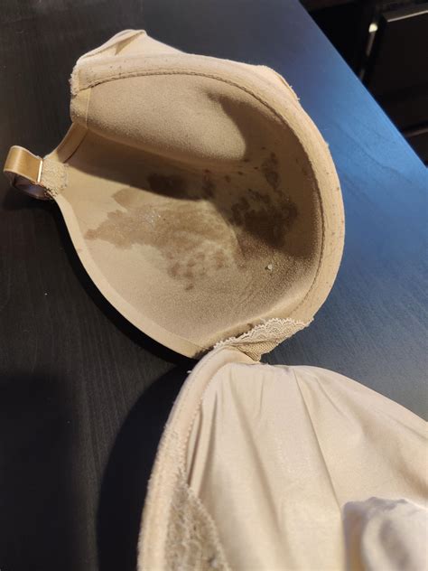 Used my wife's bra while she was at work : r/CumOnBras