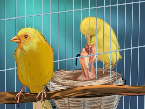 THE BIRD