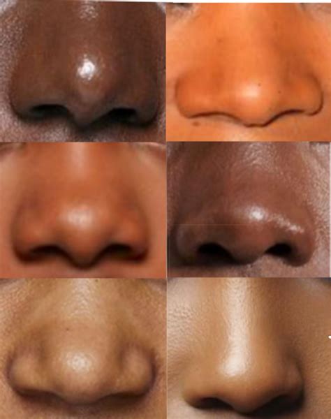 nose drawing reference  type  noses  nose shapes