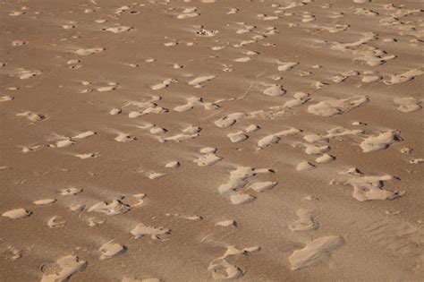 sand texture stock photo  image   accidents