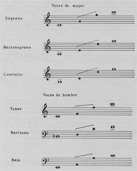 mi sala de la musica clasificacion de las voces humanas