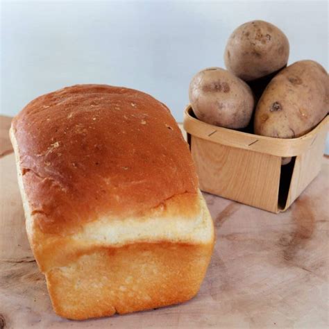 potato bread recipe kneady girl