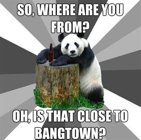 Hilarious Pickup Line Panda Memes