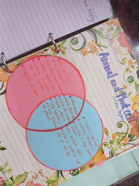Biology venn diagram in 2025 | Science projects for middle school, Venn diagram, Biology humor