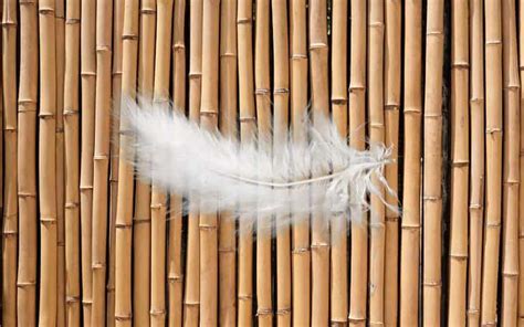 What Is Sustainable Bamboo Construction? (Pros and Cons) - Building ...