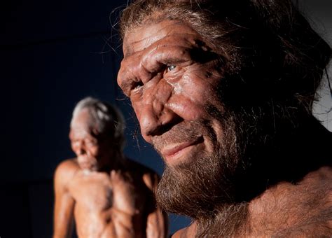 Neanderthals 'overlapped' with modern humans for up to 5,400 years ...