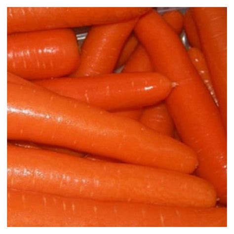 Carrot 2