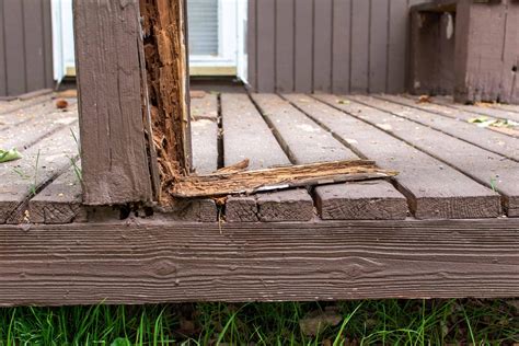How To Replace Rotted Wood Beam - The Best Picture Of Beam