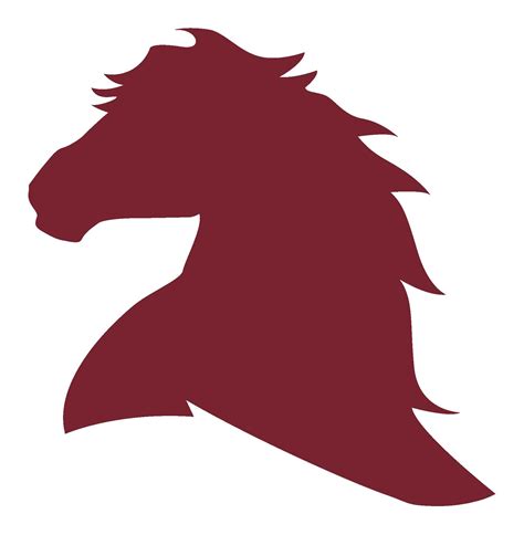 C.C. Mason Elementary | Cedar Park TX