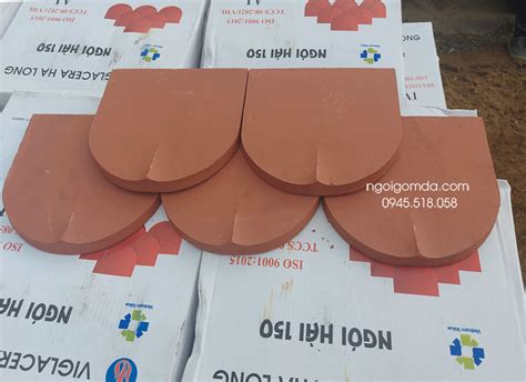 ngoi mui hai nho xx mm gia chi tu   vien