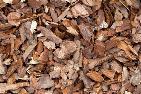 premium photo background texture   scattering  pine bark chips