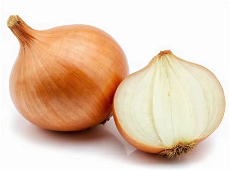 Onion Powder to Fresh Onion Conversion: Exact Measurements