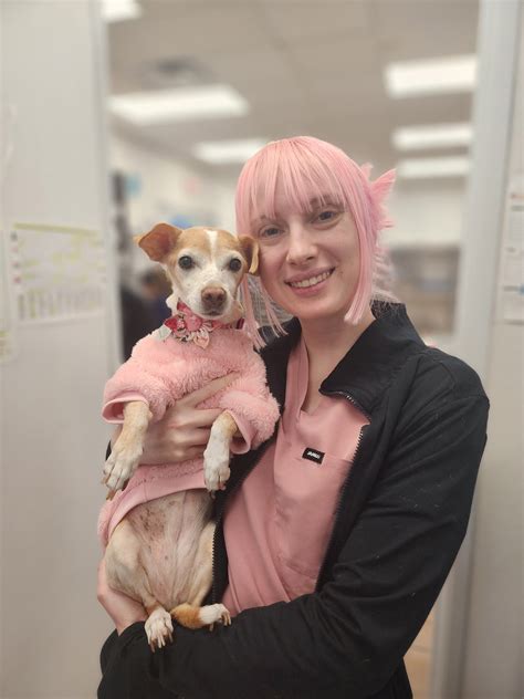 border animal hospital 3