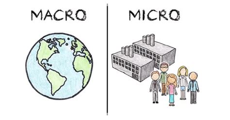 micro  macro economics big picture min trade brains