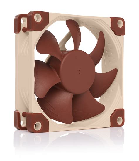 Noctua NF-A8 PWM, Leiser Premium-Lüfter, 4-Pin: Amazon.de: Computer ...