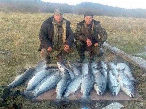 Рыбалка в Карелии, озера Карелии, рыбалка на Онежском озере - YouTube