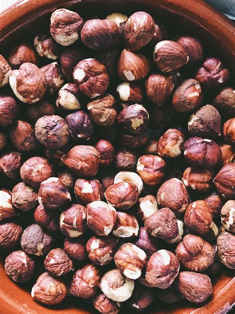 What Nuts Should Dogs Not Eat