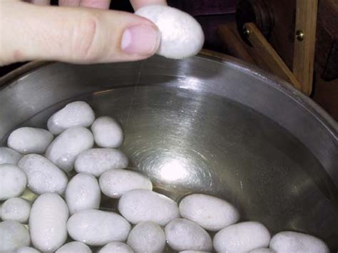 improved silk reeling