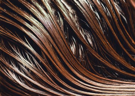 Myths and facts about bond-building hair care | Nexxus US