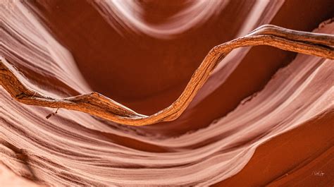 A secret Michael Antonovich Antelope Valley Courthouse wing was revealed 18