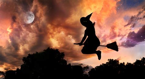 Astrology – Latest Horoscopes, Zodiac Signs & News | New York Post