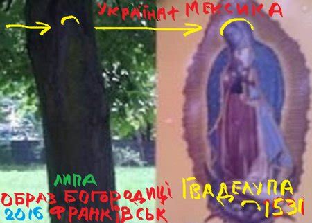 Блог SOKILDNISТЕR+