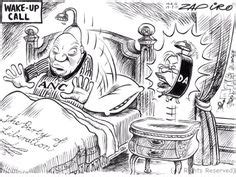 With the results of the 2011 municipal elections in, Zapiro asks ...