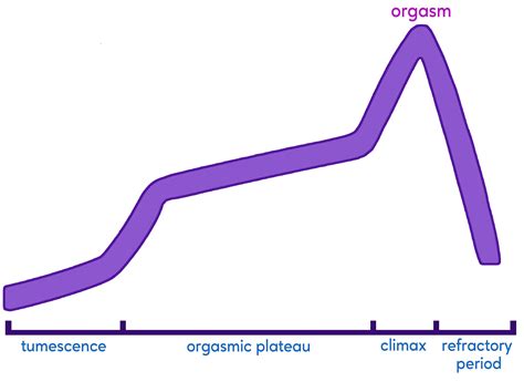 Stages of Arousal | Learn Body Literacy and Fertility Awareness — Learn
