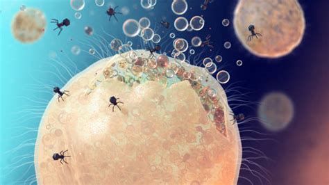 Bakteriofag Ilustracje - Zdjęcia i ilustracje - iStock