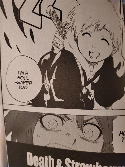 I have finally finished the bleach manga : r/bleach