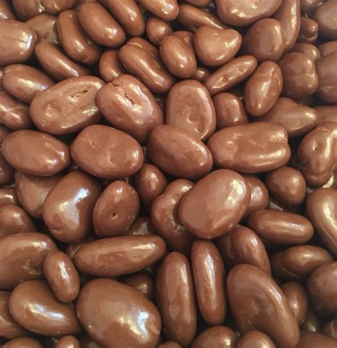 chocolate covered pecans  lb bag kendrick farms