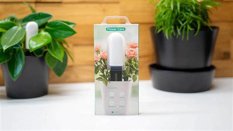 Xiaomi Mi Plant Flower Care im Test - Techtest