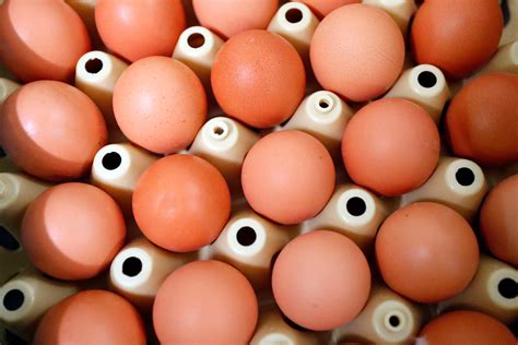 Egg crisis: US faces high prices, shortages and smuggling amid tariff