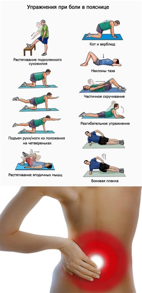 Упражнения при болях в пояснице