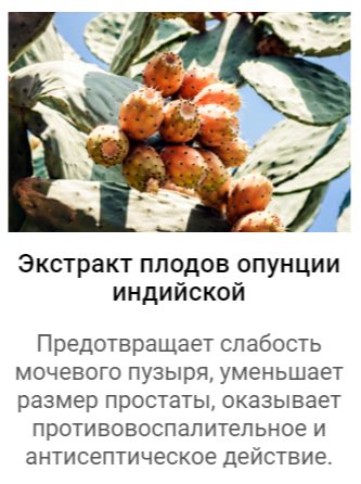 Men`s Defence от простатита - купить Менс Дефенс