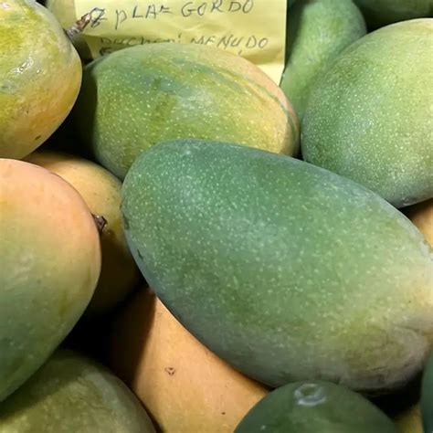 Bio Mango kaufen - Bestelle dir Bio Mangos von tollen Bio Erzeugern!