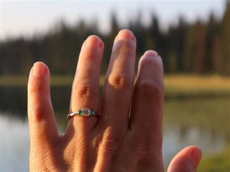 The Engagement – Timeless Family