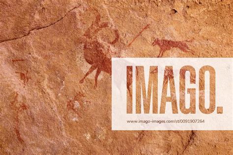 Neolithic Dog Fotos | IMAGO