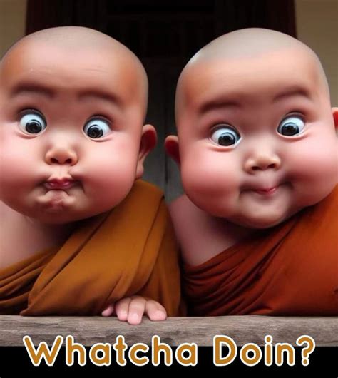 Pin by Maria Sanchez on whatcha doin? | Funny, Doin, Cute