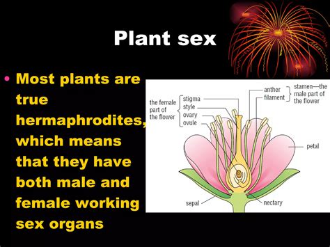 18 Sexual Reproduction | PPT