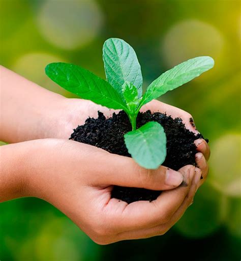 Biocompost | LinkedIn