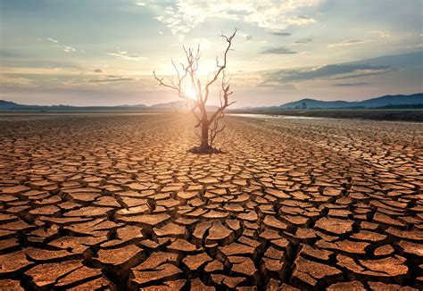 Quais São Os Impactos Das Mudanças Climáticas No Brasil
