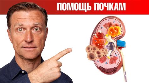 Если у вас есть заболевания почек, то ешьте это👌 - YouTube