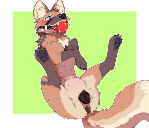 Rule 34 - animal genitalia animal pussy anus ball gag blush canid