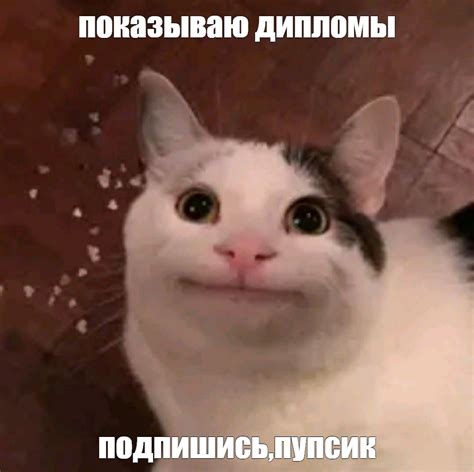 Создать мем "коты из мемов, котик мем, кот из мема" - Картинки - Meme ...